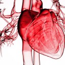 Choroba niedokrwienna serca i inhibitory ACE